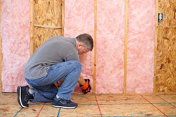 Best Insulation Inspection Services  in Linden, MI